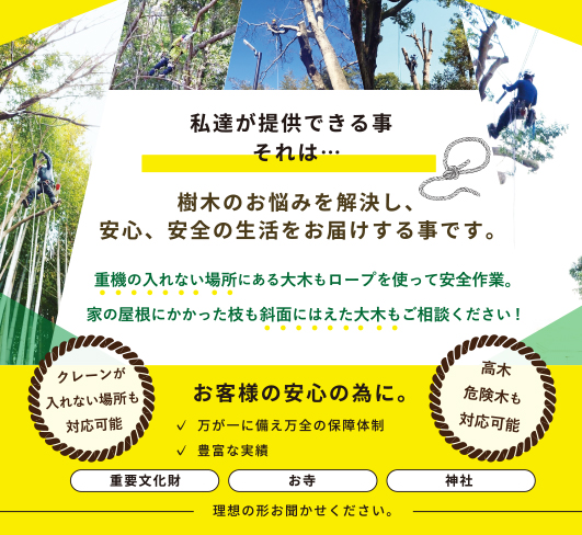 お寺や神社の大木伐採専門業者（千葉県市原市）T-works