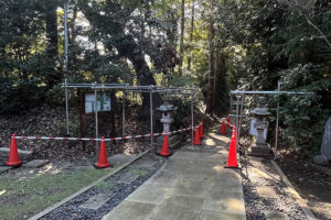 四街道熊野神社様、枯木伐採及び剪定作業