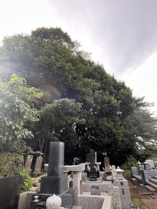 市原市安泰寺様 市原市安泰寺様