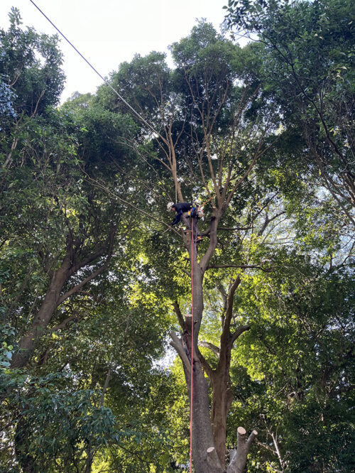 市原市安泰寺様 市原市安泰寺様