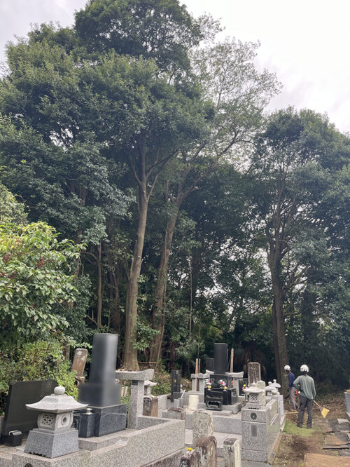 市原市安泰寺様 市原市安泰寺様