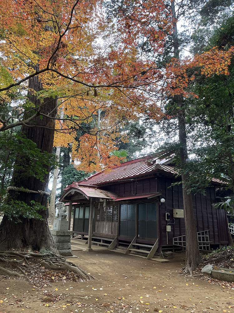 佐倉市城麻賀多神社 様