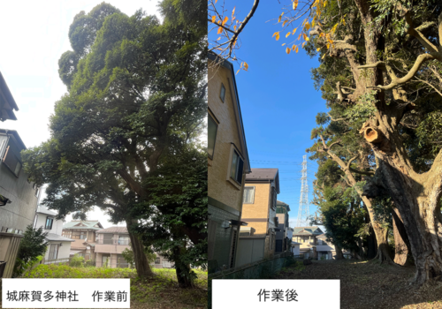 佐倉市城麻賀多神社 様 佐倉市城麻賀多神社 様