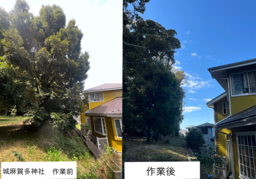 佐倉市城麻賀多神社 様 佐倉市城麻賀多神社 様