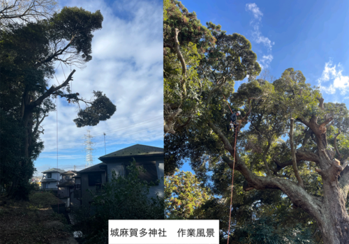佐倉市城麻賀多神社 様 佐倉市城麻賀多神社 様