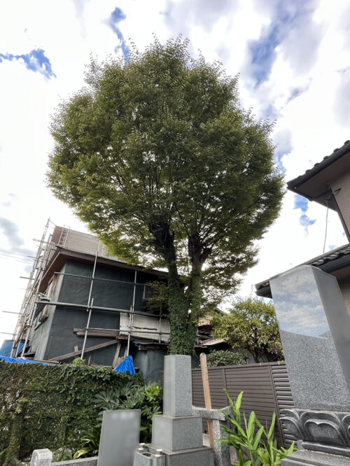 市原市円頓寺様 市原市円頓寺様