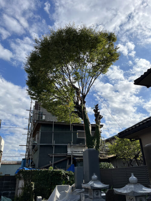 市原市円頓寺様 市原市円頓寺様