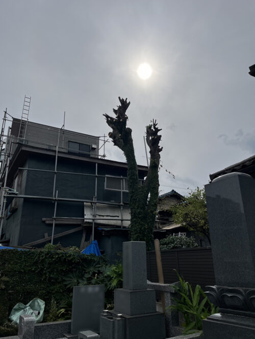 市原市円頓寺様 市原市円頓寺様